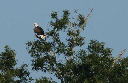 Beautiful Private Lake Lodge with Private Dock and Mountain Views - Foto 38