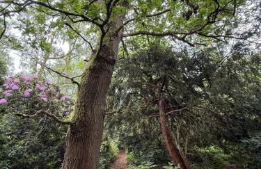 Deluxe 3 Bed new detached with a Super King bed - Photo 11