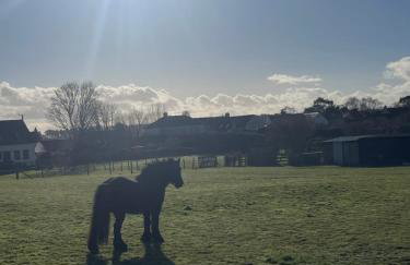 Kinneuchar Cottage - by Elie, Dog Friendly. - Foto 23