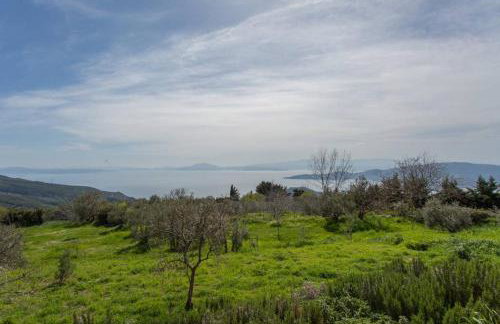 ARTistic House: view - pingpong - billard - Foto 35