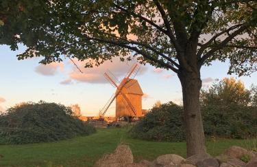 Ferienhaus Ellernblick mit Sauna - Foto 6