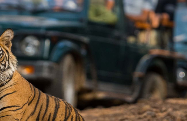 Ranthambore 2-Day Safari - Photo 2