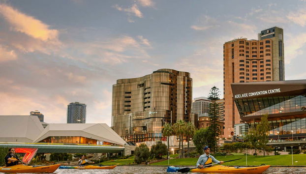 Kayak tour of Adelaide