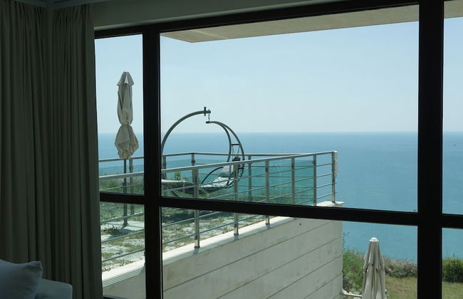 Calithea Complex - Photo 45