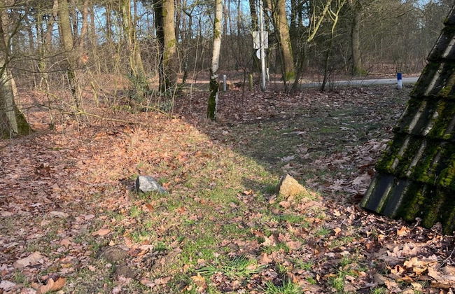 Dine & Unwind Vacation Spot - Photo 23