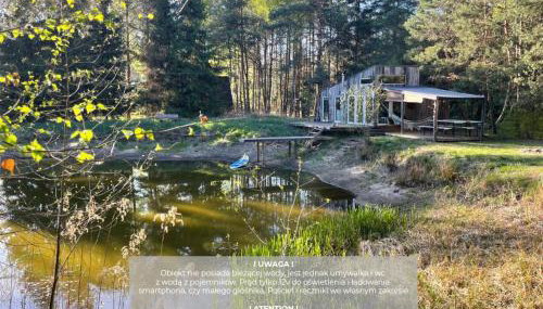 SHROOM & WATER chill calm nature - Foto 3