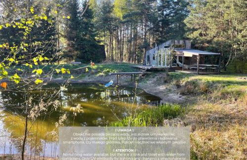 SHROOM & WATER chill calm nature - Foto 3