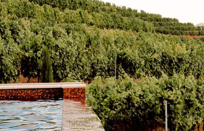 Casal dos Capelinhos - Quinta Nova - Foto 40