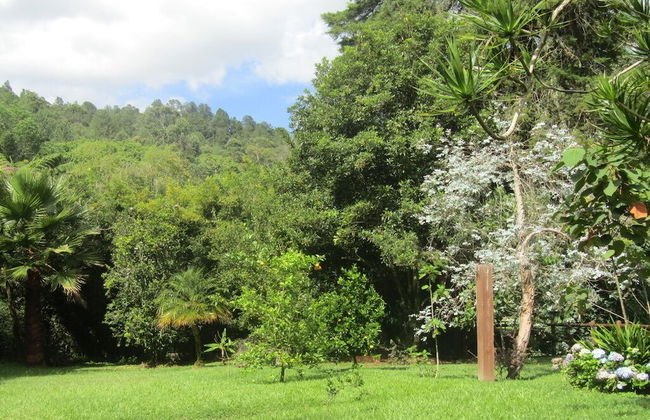 River Front Cabains - Foto 47