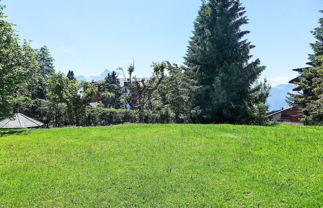 Le Miclivier B2 - Foto 5