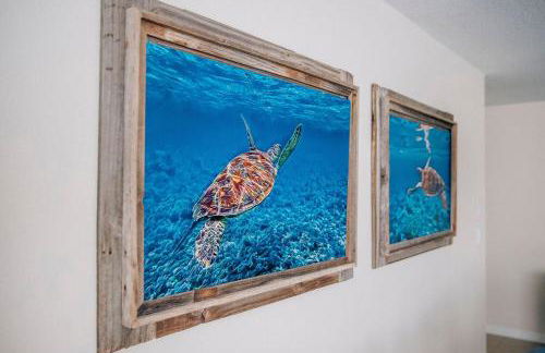 The Salty Turtle - Foto 11