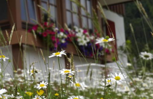 Albingers Landhaus - Photo 24