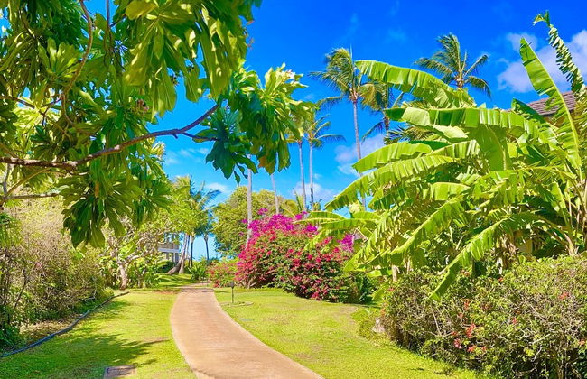 Kauai Regency at Poipu Kai by Coldwell Banker Island Rentals - Foto 78