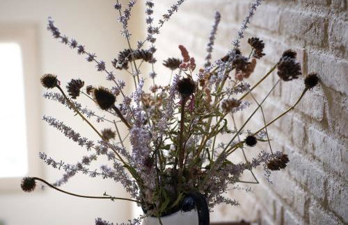 Verdenoce Agriturismo - Foto 44