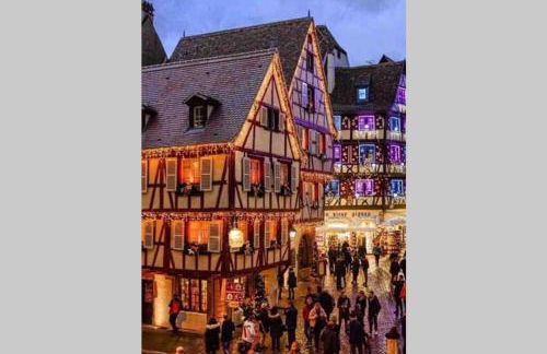 Coeur Alsace - Foto 62