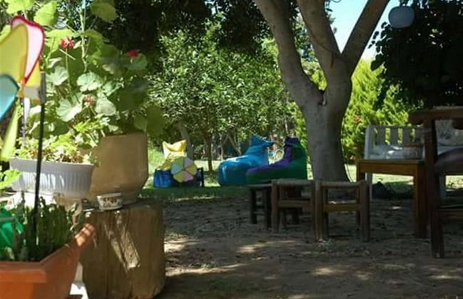 Alfa Apart Otel - Photo 12