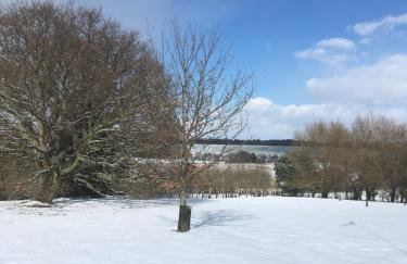 The Dairy light and relaxing - Foto 13