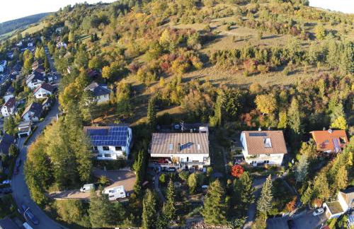 'Tor zum Schwarzwald' Ferienwohnungen mit Sauna - Foto 1