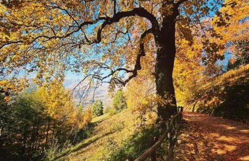 Residence la Sorgiva - Foto 28