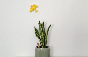 Casas de Campo - Real Mar - Photo 12