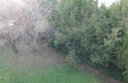 Appartement T3-4 meublé Toulouse Soupetard - Photo 17