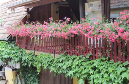 Gîte du Vignoble - Foto 12