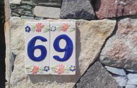 Una Araucaria sul mare - Foto 3