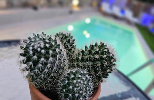 Elia Paradise Villa with private Pool - Photo 39