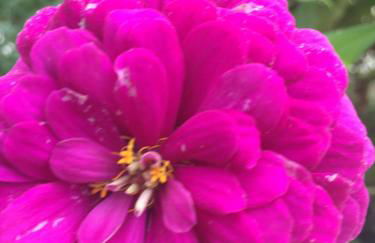 La Casa di Franco - Photo 44