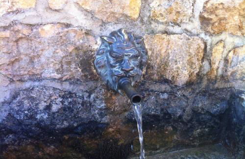 El Salat, alojamientos rurales - Photo 48