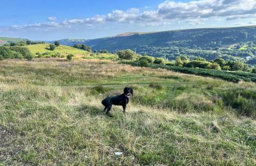 Apartment 3 The Baileys Cwm - Foto 16