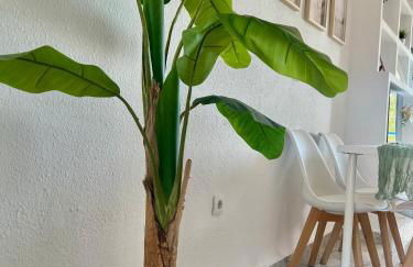 Apartamento Las Olas - Foto 35