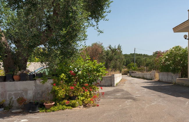 Casa Frulli - Foto 36