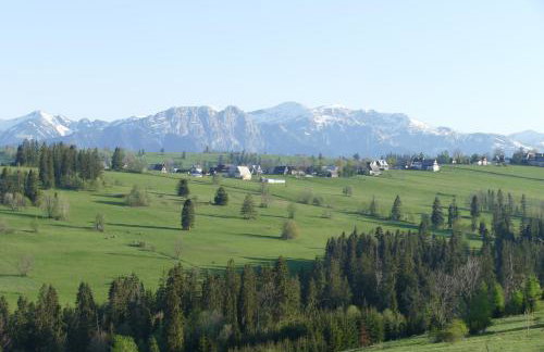 Leszczyniański Domek - Foto 37