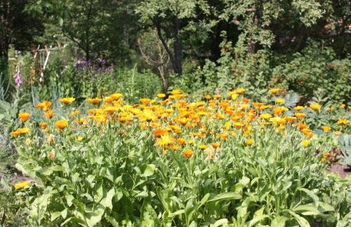 Gästehaus Roseneck - Foto 43