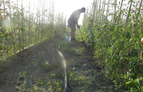 Agriturismo Corte Roeli - Foto 63