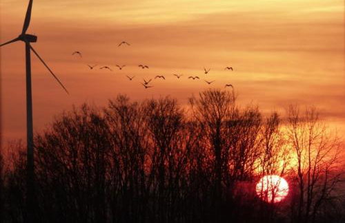 Deichkrone-Rees - Photo 32