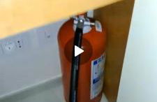 L' Amabile Volpe - Via Carlo Levi 2&2 - Foto 15