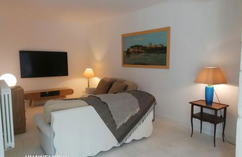 Superbe Mas Authentique du Luberon Courroussouvo - Foto 24