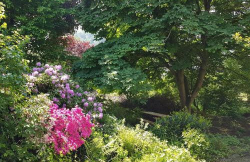 Ferien Fachwerkhaus - Foto 9