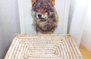 Casa Rural Alameda con chimenea y jardín - Photo 30