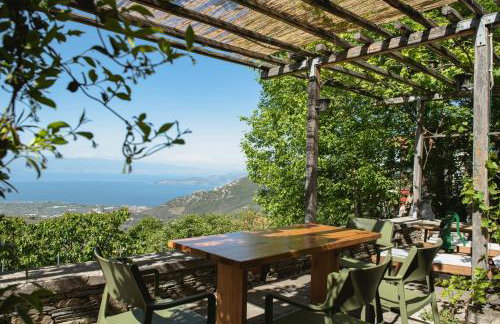 House Gecko - Mount Pelion - Foto 35