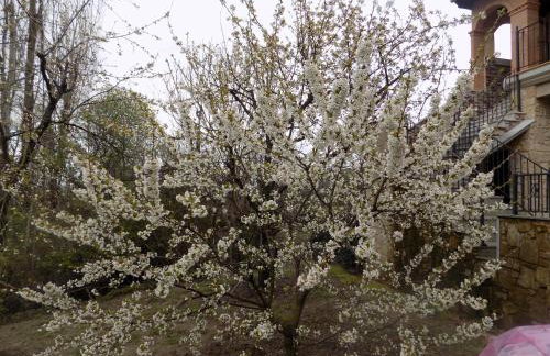 Casa Rural Generoso - Foto 68