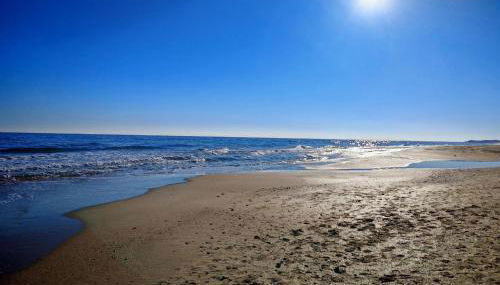 La Dolce Vita - Foto 2