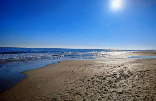 La Dolce Vita - Foto 2