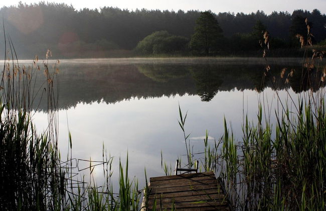 Holiday Home in Lohmen for 4 Person - Photo 31