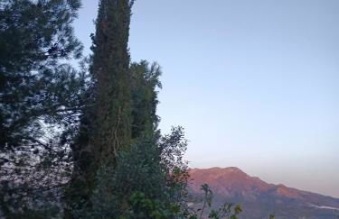 La Atalaya de Los Romanes - Foto 18