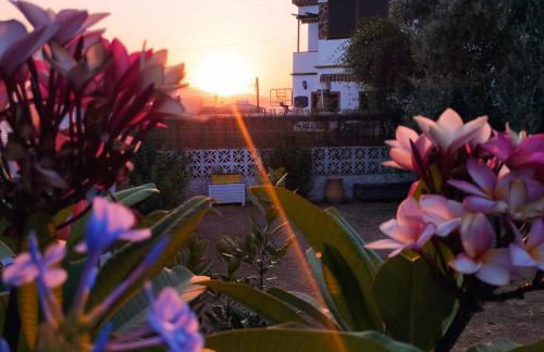 Villa Alegría Málaga Jardín privado y relax cerca del aeropuerto - Photo 28