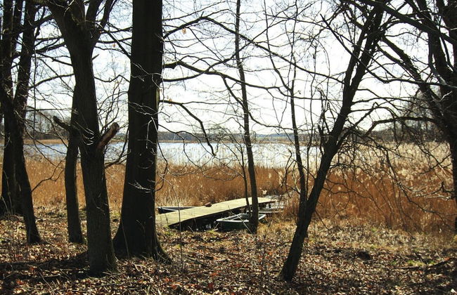 Ferienwohnung, Lohmen - Photo 10