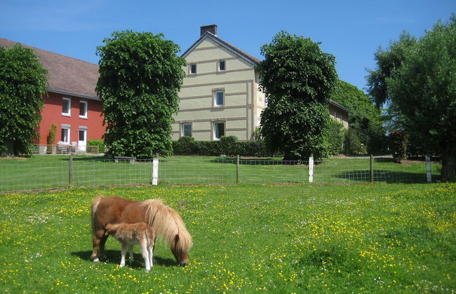 Bungalowpark Landsrade - Photo 16